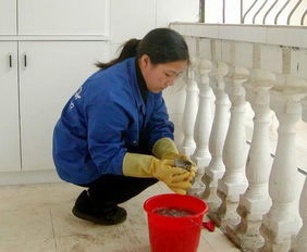 专业保洁擦玻璃 塘沽爱心大姐服务公司的清洁新篇章